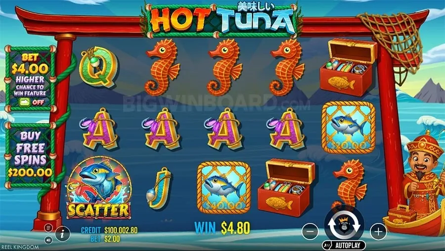 Beginner's Guide to Live Casino